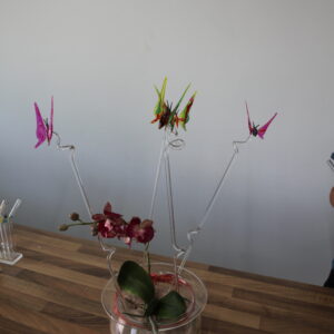 alles für die Pflanzen