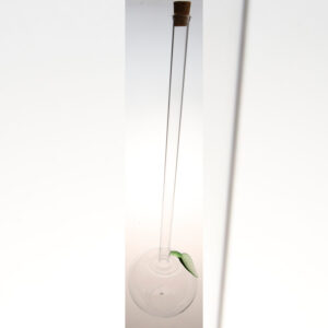 Apfelflasche mit langem Hals