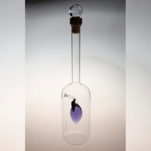 Fruchtige Schnapsflasche-Zwetschge