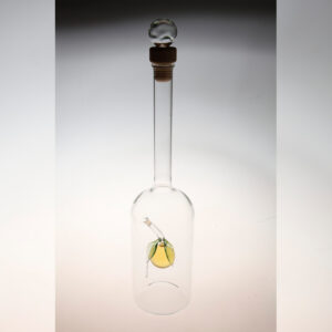 Fruchtige Schnapsflasche-Mirabelle